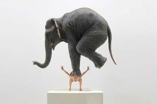 elefant man